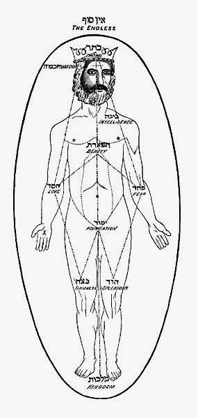 The Kabbalistic Cosmos as the Primordial Man, (Isaac Myer)